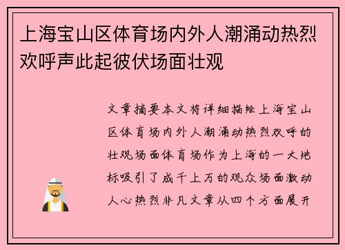 上海宝山区体育场内外人潮涌动热烈欢呼声此起彼伏场面壮观