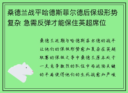 桑德兰战平哈德斯菲尔德后保级形势复杂 急需反弹才能保住英超席位