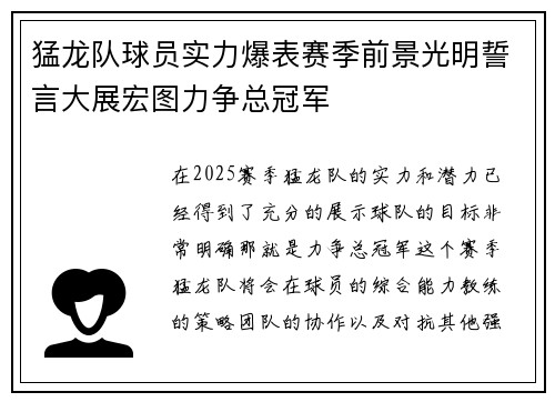 猛龙队球员实力爆表赛季前景光明誓言大展宏图力争总冠军